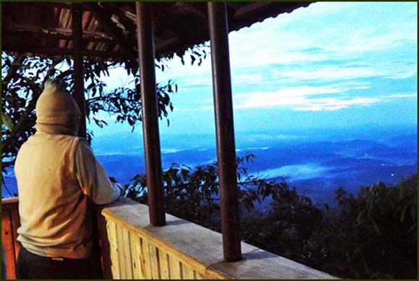 Tree house Sunrise view