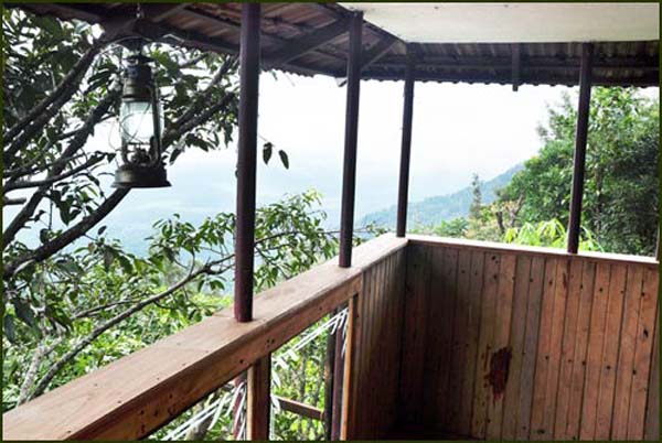 Treehouse from passage view