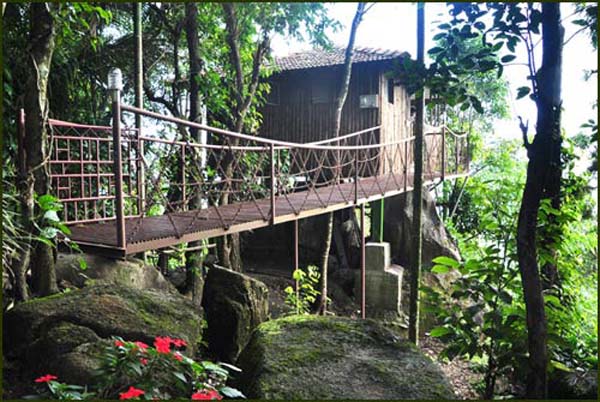 Treehouse view from passage