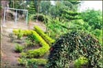 Childrens park