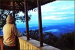 Tree house Sunrise view