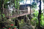 Treehouse view from passage