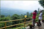 view from deluxe cottage