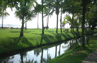 Grandmas Mansion Home Stay, Grandma's Mansion Home Stay,Stay-at-Home Grandma, Pala, Kottayam,Kerala Home stay, Home Stay Kerala, Kerala homestay.