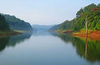 Grandmas Mansion Home Stay, Grandma's Mansion Home Stay,Stay-at-Home Grandma, Pala, Kottayam,Kerala Home stay, Home Stay Kerala, Kerala homestay.