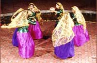 Kadavu Resorts, Calicut, Kerala,Kadavu Resorts-Holiday resort kerala Boat cruise Luxurious cottages Luxurious suites Family Holiday packages kerala Hotel near Calicut Airport Massage Centres, kerala.