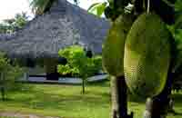 The Marari Beach Resort, Marari Beach, Mararikulam Beach near alleppey, Kerala