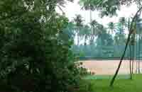 The Marari Beach Resort, Marari Beach, Mararikulam Beach near alleppey, Kerala