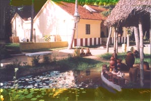 swamimalia.jpg (20476 bytes)