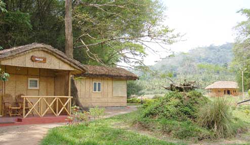 The Bamboo Grove::Periyar tiger Reserve, Thekkady, Kerala, Hotel Periyar,Hotel Thekkady,Resort Periyar,Lodgings Periyar,Resort Thekkady,Periyar Tiger Reserve, Kerala, India.