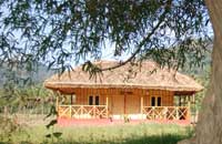 The Bamboo Grove::Periyar tiger Reserve, Thekkady, Kerala, Hotel Periyar,Hotel Thekkady,Resort Periyar,Lodgings Periyar,Resort Thekkady,Periyar Tiger Reserve, Kerala, India.
