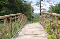 The Bamboo Grove::Periyar tiger Reserve, Thekkady, Kerala, Hotel Periyar,Hotel Thekkady,Resort Periyar,Lodgings Periyar,Resort Thekkady,Periyar Tiger Reserve, Kerala, India.