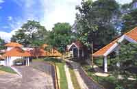 Tree Top Resort,Periyar Tree Top Wildlife Resort,Wildlife Tree Top Resort,Periyar Kerala Wildlife Resort Tree Top,Wildlife Resort Tree Top Accommodation,Stay in Tree Top Wildlife Resort.