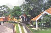 Tree Top Resort,Periyar Tree Top Wildlife Resort,Wildlife Tree Top Resort,Periyar Kerala Wildlife Resort Tree Top,Wildlife Resort Tree Top Accommodation,Stay in Tree Top Wildlife Resort.