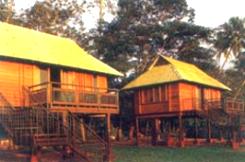 Water scape, Kumarakom