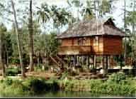 Water scape Kumarakom