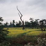 [NEW DELHI-GUWAHATI-BHALUKPONG-BOMDILA-TAWANG-DIRANG-NEW DELHI(9 NIGHTS / 10 DAYS)]