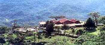 [DELHI-KASAULI-DELHI(2 NIGHTS / 3 DAYS)]