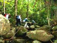 [DELHI-CORBETT-DELHI(3 Night / 4 Days)]