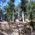 [NEW DELHI-SHIMLA-NEW DELHI(2 Nights / 3 Days)]