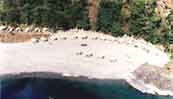 camps