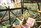 Tree house room view