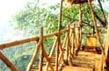 Tree house room view