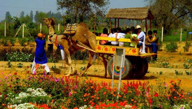 Pratapgarh Farms
