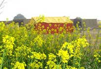 Pratapgarh Farms View