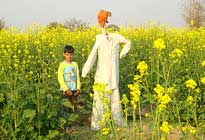 Pratapgarh Farms Agricultural 
