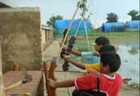Pratapgarh Farms Activities