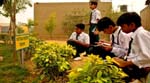 Pratapgarh Farms Activities14