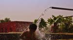 Pratapgarh Farm, Activities22