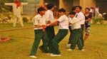 Pratapgarh Farms, Activities23