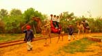 Pratapgarh Farms Activities4