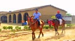 Pratapgarh Farms Activities8
