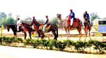 Pratapgarh Farms Farm View