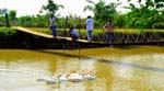 Pratapgarh Farms View1