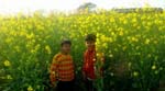 Pratapgarh Farms View10