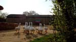 Pratapgarh Farms View3