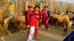 Pratapgarh Farms View8