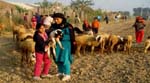 Pratapgarh Farms View9