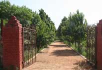 Sheilma farms Damdama Harayana
