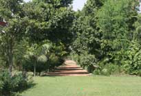 Sheilma farms Damdama Harayana