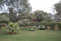 Sheilma farms Damdama Harayana