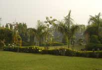 Click Here For Big Photos